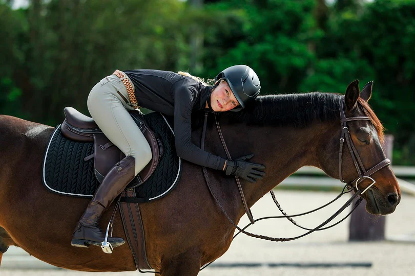 Elevate Your Equestrian Lifestyle